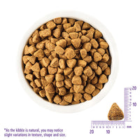 Wellness SIMPLE Limited Ingredient Dry Dog Food Kibble Size